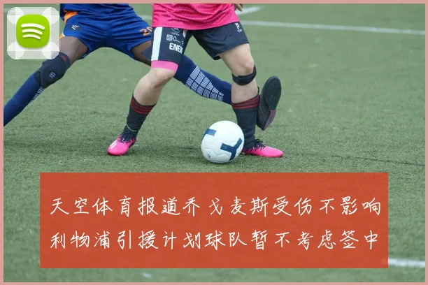 天空体育报道乔戈麦斯受伤不影响利物浦引援计划球队暂不考虑签中卫
