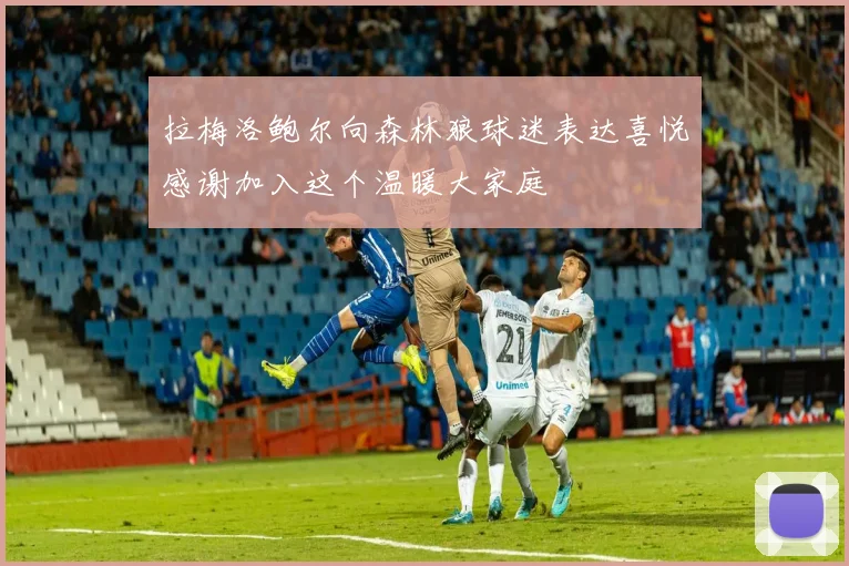 拉梅洛鲍尔向森林狼球迷表达喜悦感谢加入这个温暖大家庭